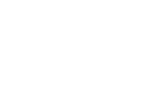 Cesena Car
