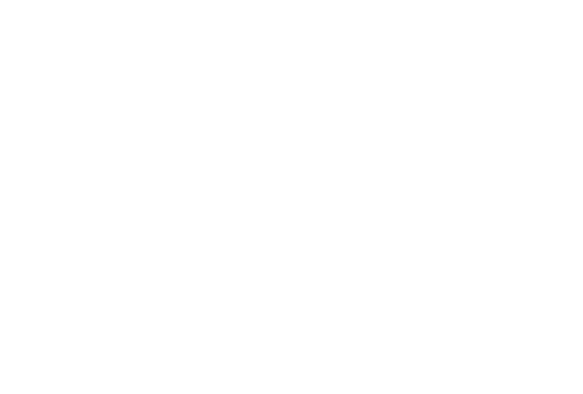 Donegato