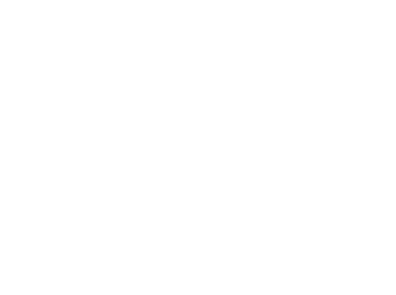 Forlani Consulting