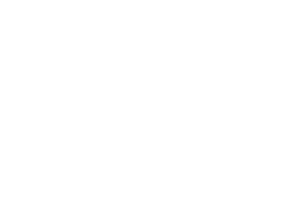 Hora