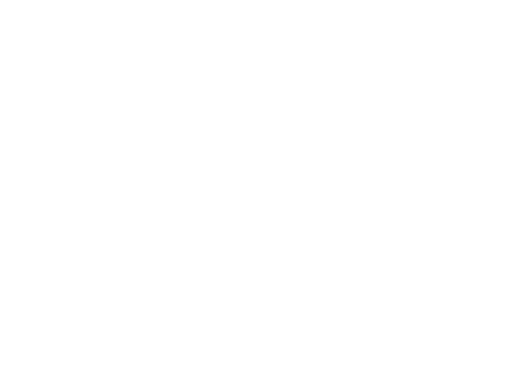 Hotel Bassetti
