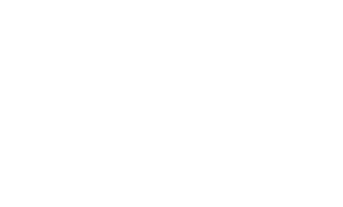 Macron Sito