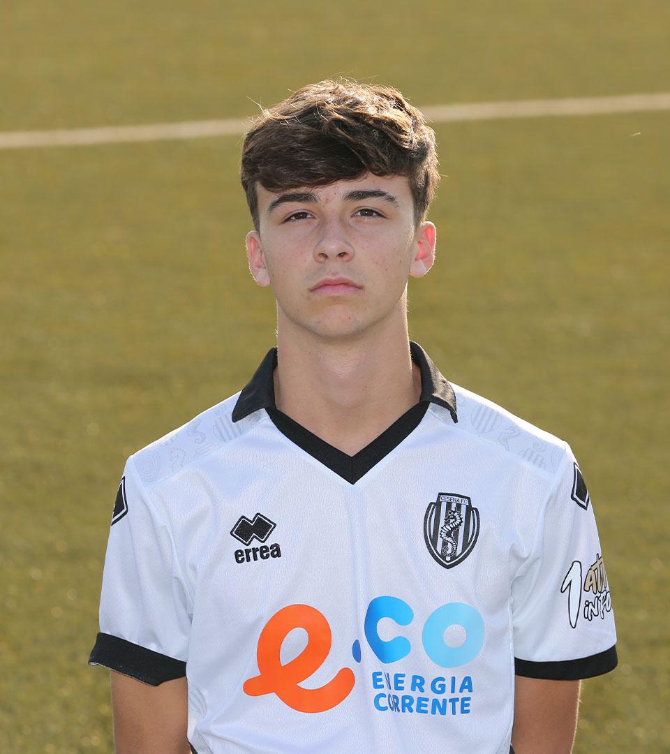 Mattei-Samuel
