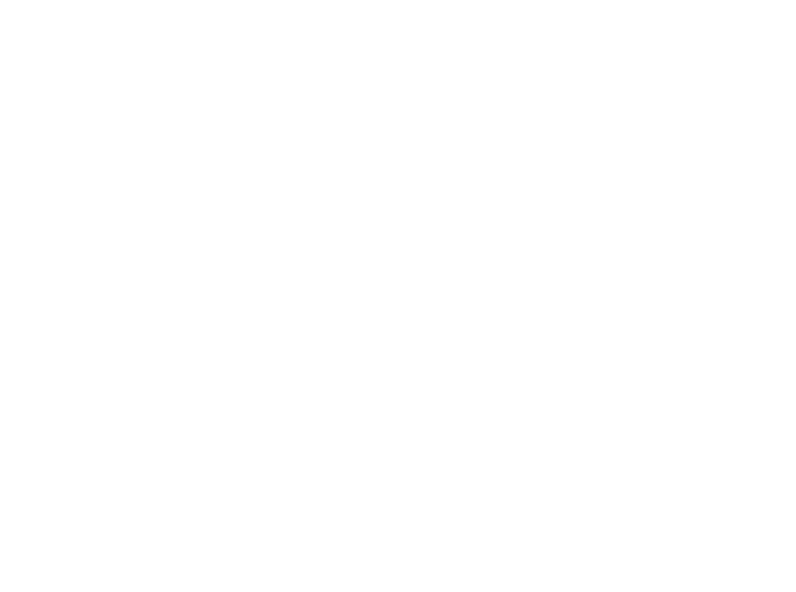 Piciesse