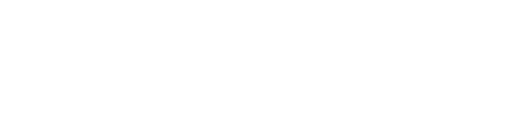 Ranieri SRL