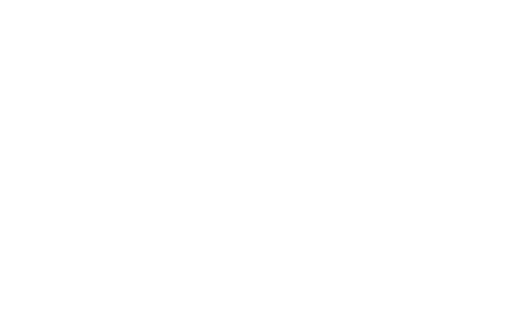 Ricci Gino