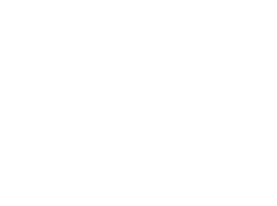 Righi Solutions