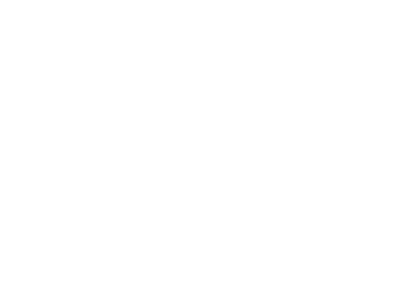 Sistem Pneus