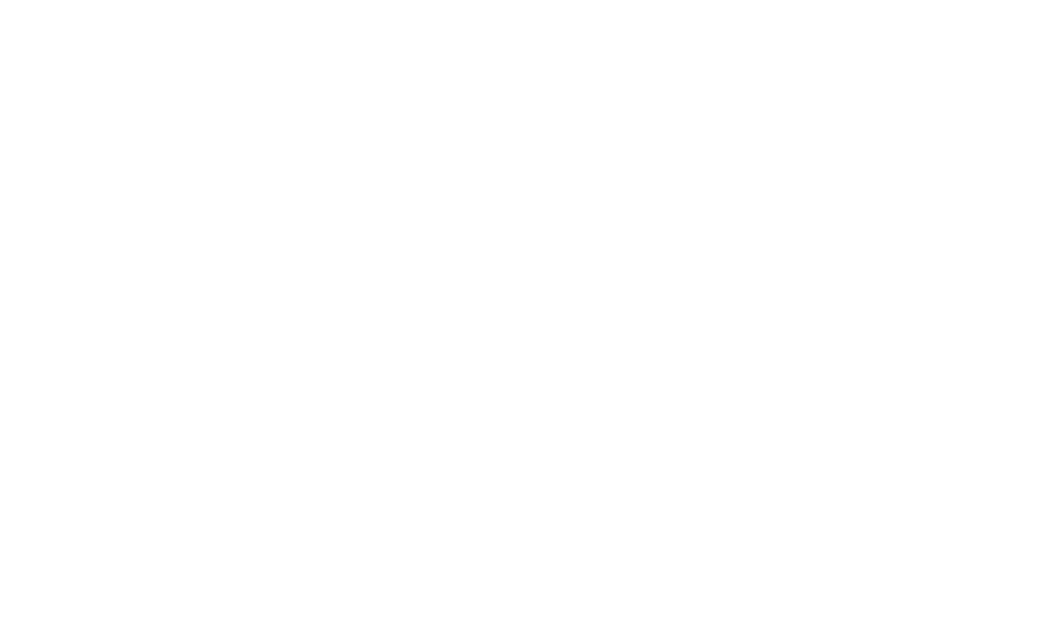 Cementisti SPA