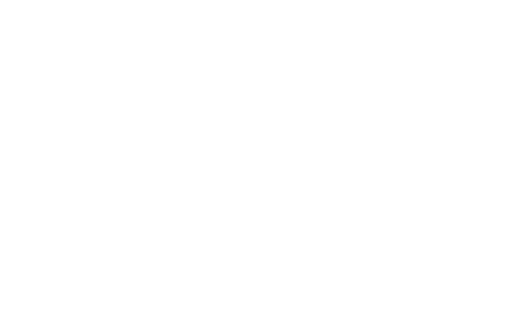 EdilPiù