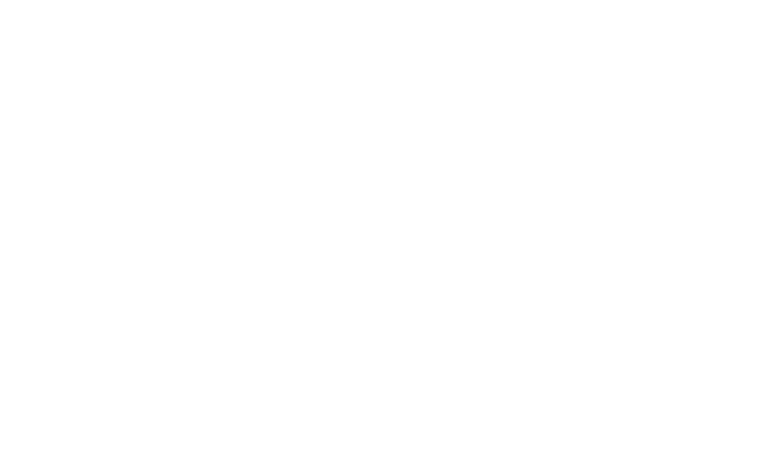 fs v2