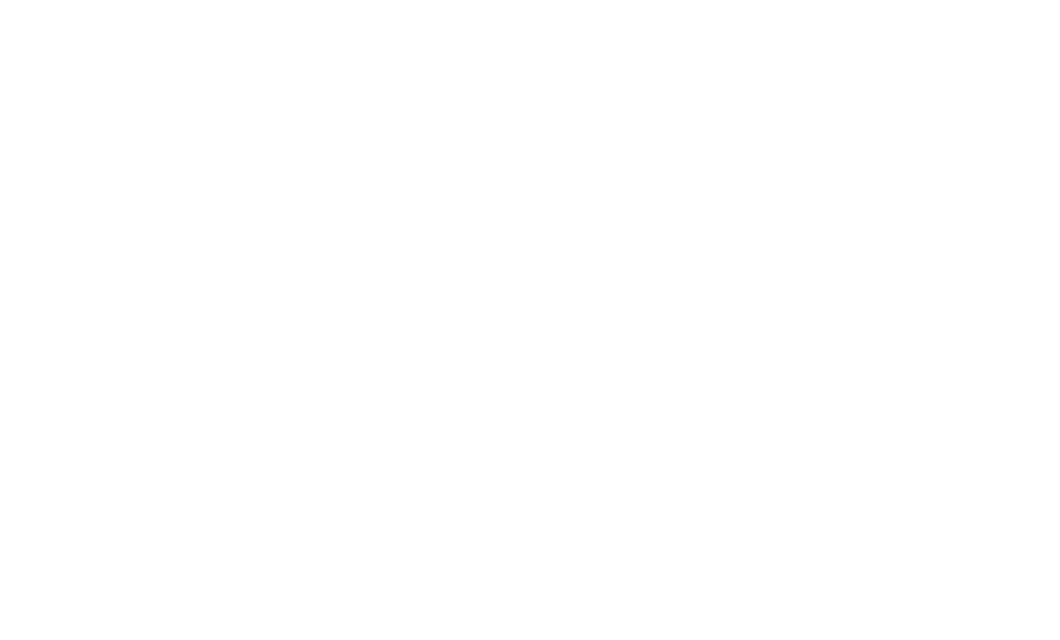 Iceberg Jeans