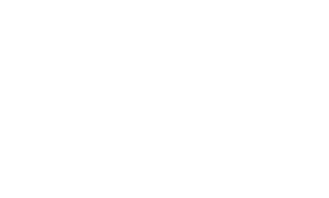 Manuzzi_v2