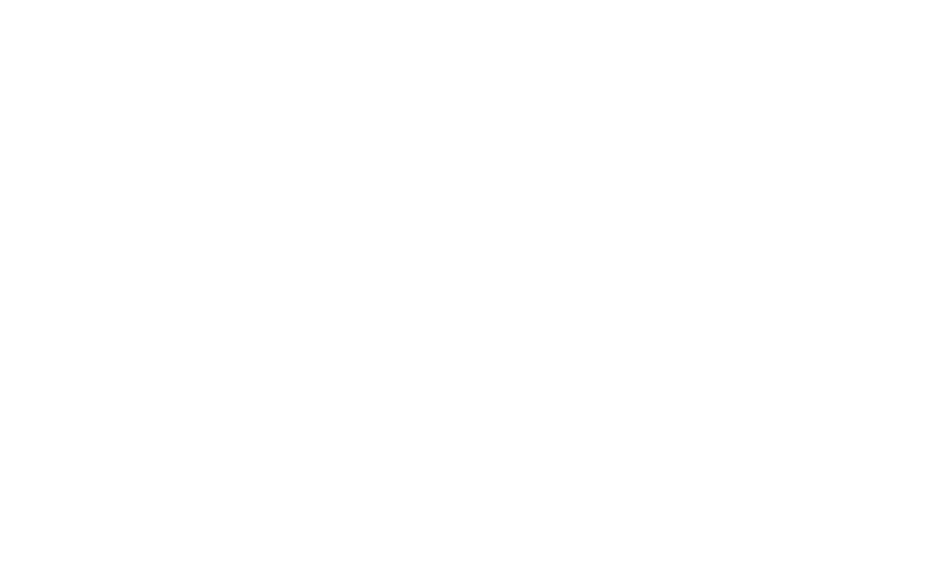 MDM Car