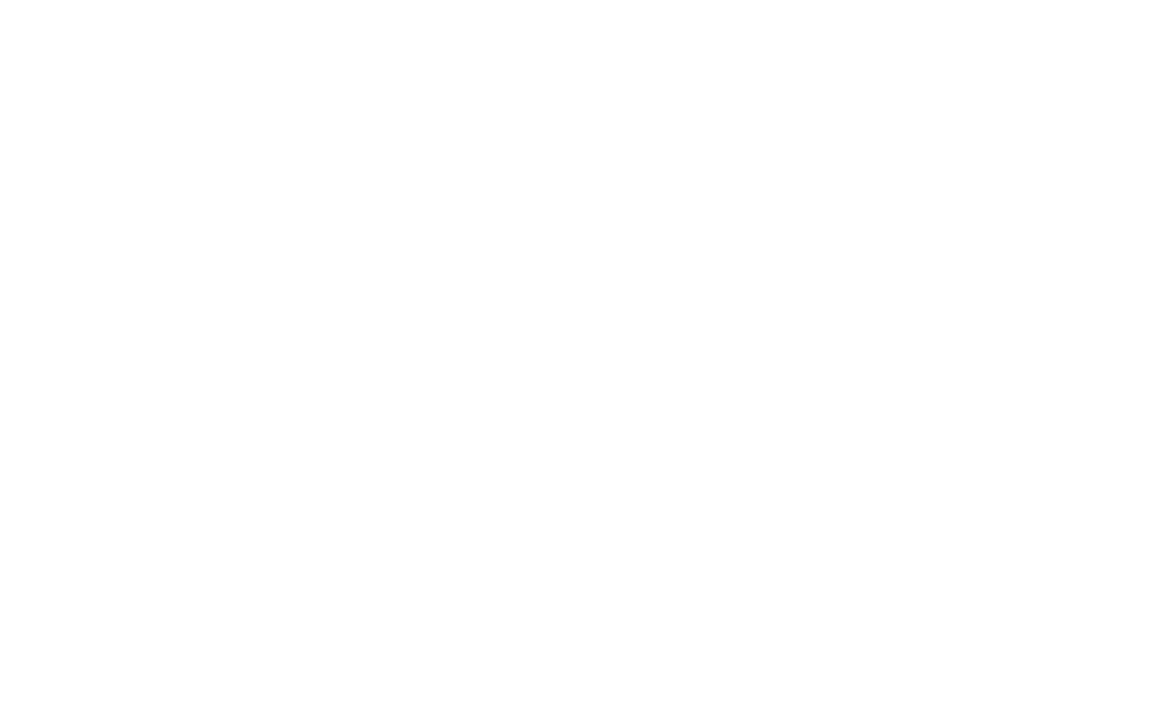 Romagnauto